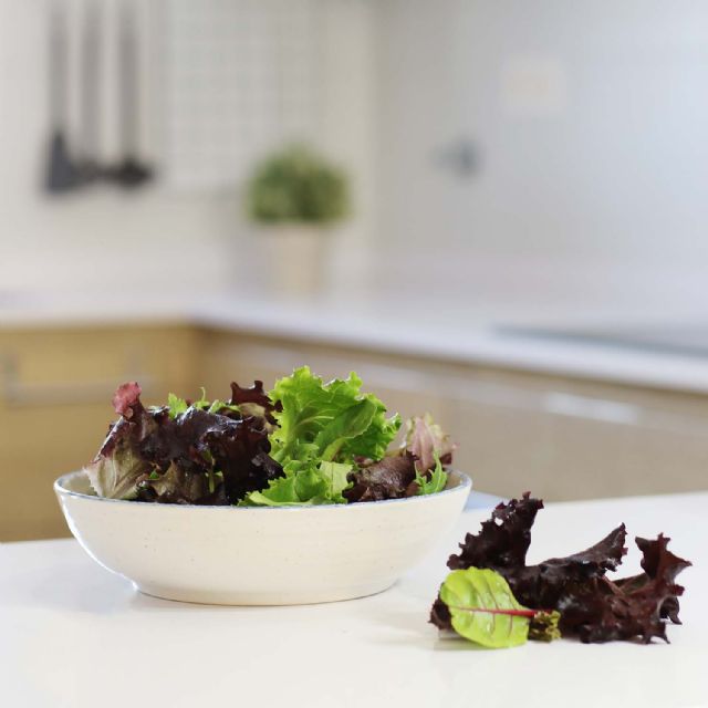 La lechuga se convierte en la verdura más consumida en privamera - 1, Foto 1