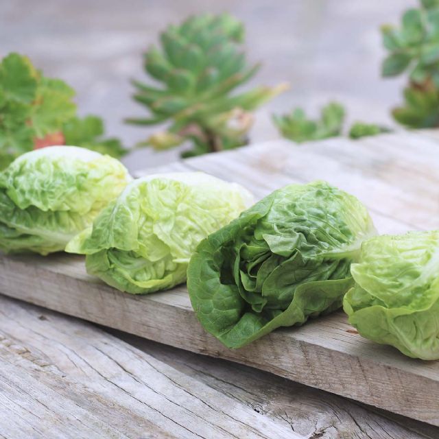 La lechuga se convierte en la verdura más consumida en privamera - 3, Foto 3