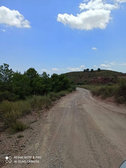    [Se acondiciona el camino de los Jaboneros en Mort Alto, Foto 2