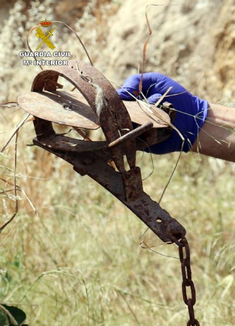 Desmantelado un clan familiar dedicado a la venta de hasta tres tipos distintos de sustancias estupefacientes - 2, Foto 2