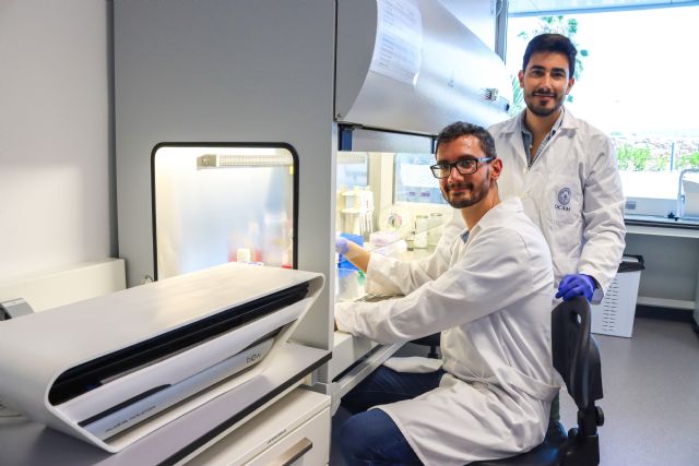 La UCAM y Biow crean una cátedra de investigación para estudiar la regeneración celular - 1, Foto 1