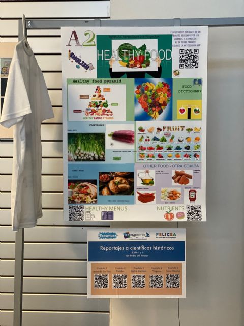 El CEA Mar Menor presenta el Proyecto FELICEA en el Ayuntamiento de Torre Pacheco - 3, Foto 3