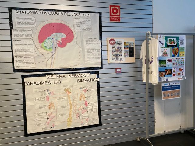 El CEA Mar Menor presenta el Proyecto FELICEA en el Ayuntamiento de Torre Pacheco - 4, Foto 4