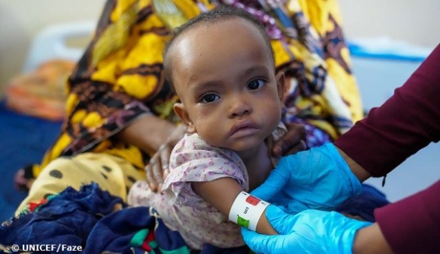 Peligro de hambruna mundial, debemos actuar ya - 1, Foto 1