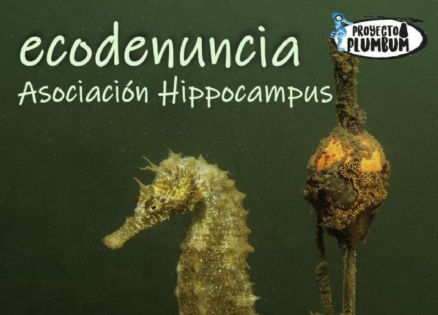 El Luzzy acoge la exposición fotográfica Ecodenuncia durante el mes de julio - 1, Foto 1