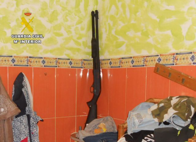 La Guardia Civil desmantela un grupo delictivo que cultivaba y distribuía gran cantidad de marihuana - 4, Foto 4