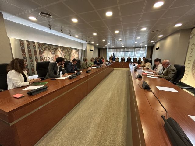 La Diputación Permanente habilita un período extraordinario de sesiones en el mes de julio de 2025 - 1, Foto 1