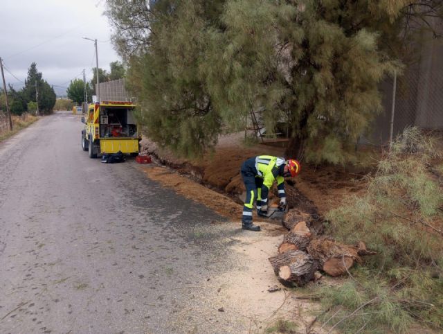 El Ayuntamiento lleva al Pleno la aprobación del Plan de Actuación Municipal frente a Incendios Forestales del municipio de Lorca (INFOLOR) - 5, Foto 5