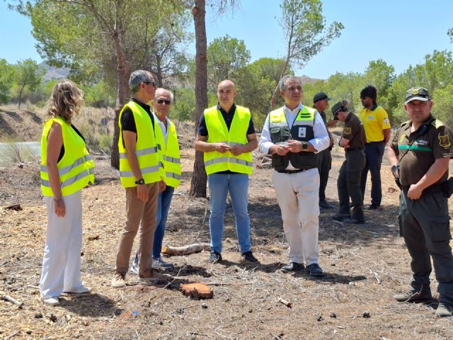 La Comunidad invierte 21 millones para la prevenci�n de incendios y gesti�n forestal en 13.700 hect�reas, Foto 2