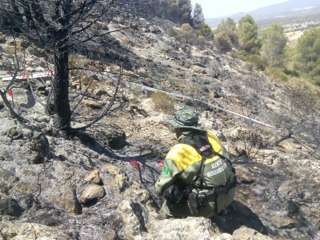 La Comunidad delimita y comprueba el origen intencionado de los incendios ocurridos en Calasparra y Moratalla este fin de semana - 1, Foto 1
