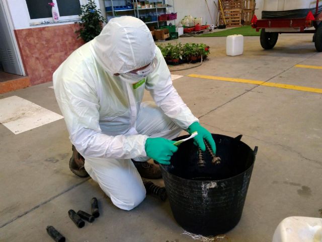 El Ayuntamiento lleva a cabo un estricto control de la red de riego para prevenir cualquier posible bacteria como la legionella - 1, Foto 1