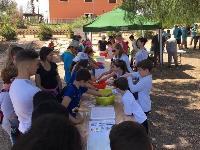 5.000 'bolas de vida' torreñas ayudarán a reforestar el municipio portugués de Tabua - 4, Foto 4
