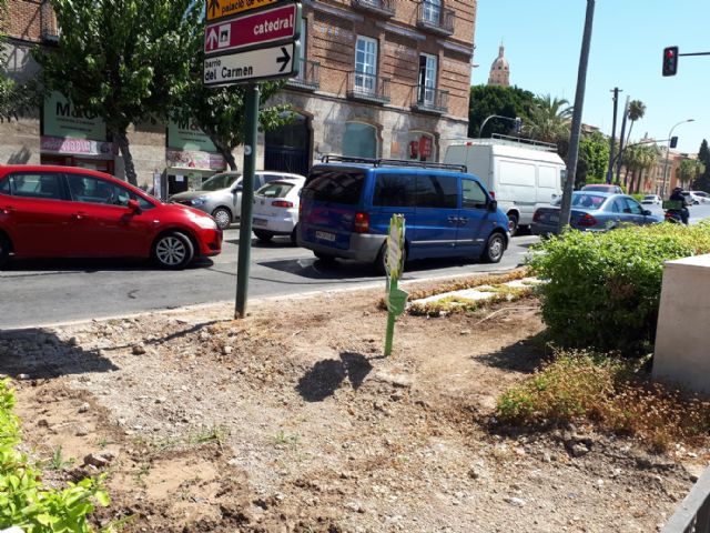 Ahora Murcia propone la creación de un manual municipal de buenas prácticas en jardinería - 5, Foto 5