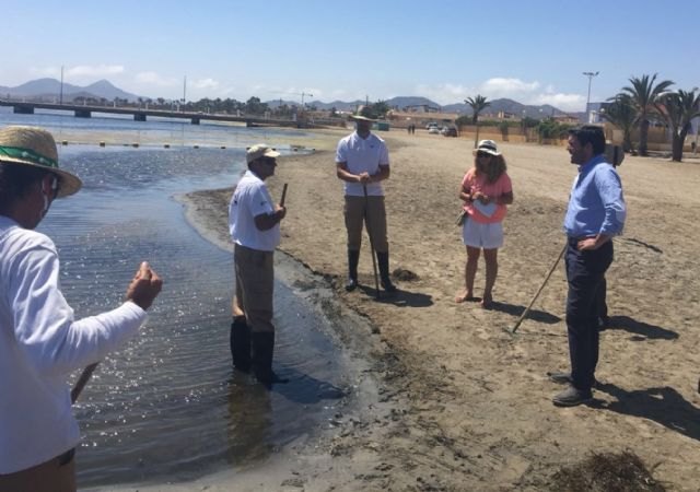 Las mejoras en las brigadas de limpieza del Mar Menor permiten retirar en seis meses el doble de residuos de algas que el año pasado - 1, Foto 1