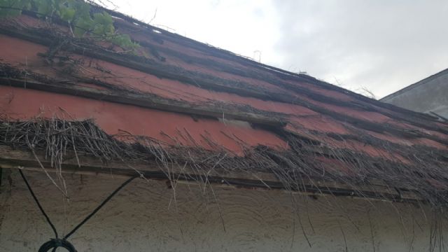 Cs solicitará en el Pleno la adecuación y mantenimiento del recinto de la Federación de Peñas Huertanas - 2, Foto 2