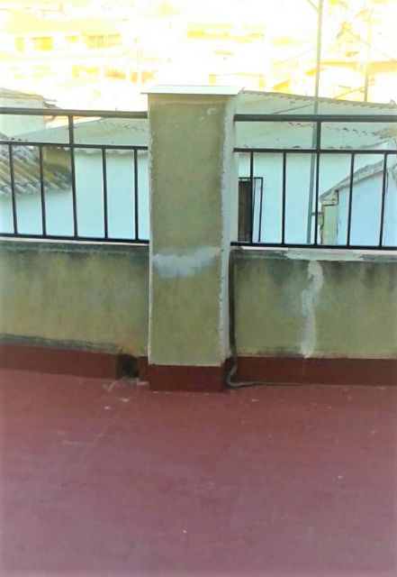 Montañas de basura y escombros, amianto, calles más sucias que nunca, plagas de ratas, garrapatas y cucarachas, y hasta serpientes - 1, Foto 1