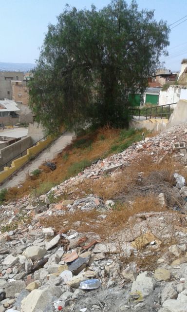 Montañas de basura y escombros, amianto, calles más sucias que nunca, plagas de ratas, garrapatas y cucarachas, y hasta serpientes - 2, Foto 2