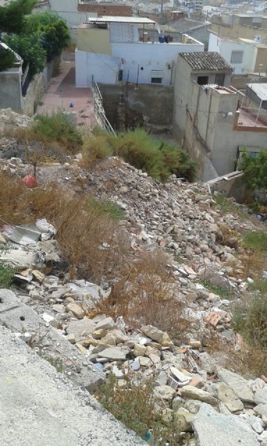 Montañas de basura y escombros, amianto, calles más sucias que nunca, plagas de ratas, garrapatas y cucarachas, y hasta serpientes - 3, Foto 3