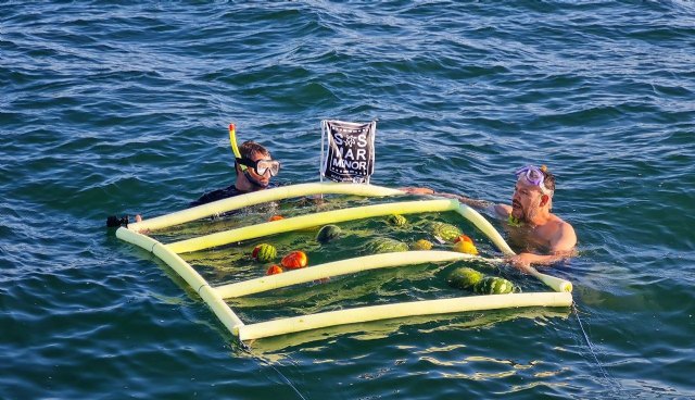 Exitoso cultivo hidropónico en el Mar Menor por segundo año consecutivo - 1, Foto 1