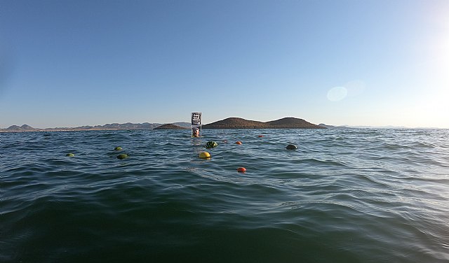 Exitoso cultivo hidropónico en el Mar Menor por segundo año consecutivo - 2, Foto 2