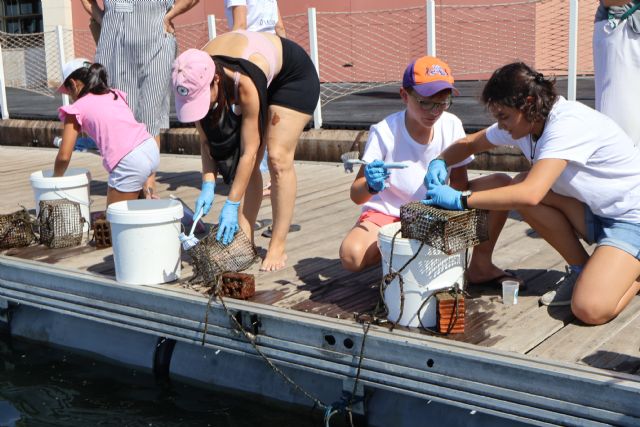 Más de 30 familias participan en San Pedro del Pinatar en la Jardinería de ostras para conocer el papel de estos bivalvos en el Mar Menor - 4, Foto 4