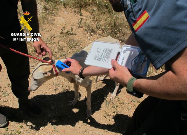 La Guardia Civil esclarece en Jumilla un grave caso de maltrato y abandono animal - 2, Foto 2
