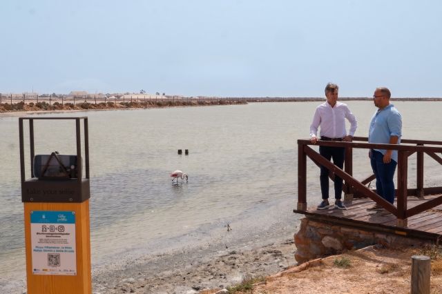 El Ayuntamiento destina más de 400.000 euros a revitalizar y modernizar la fachada marítima - 4, Foto 4