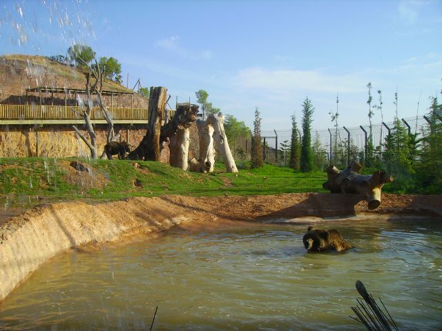 Los animales de Terra Natura alivian el calor veraniego con helados de fruta - 2, Foto 2