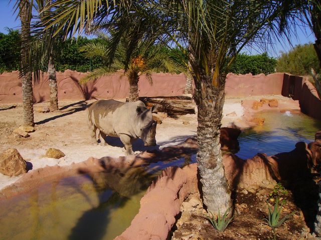 Los animales de Terra Natura alivian el calor veraniego con helados de fruta - 3, Foto 3