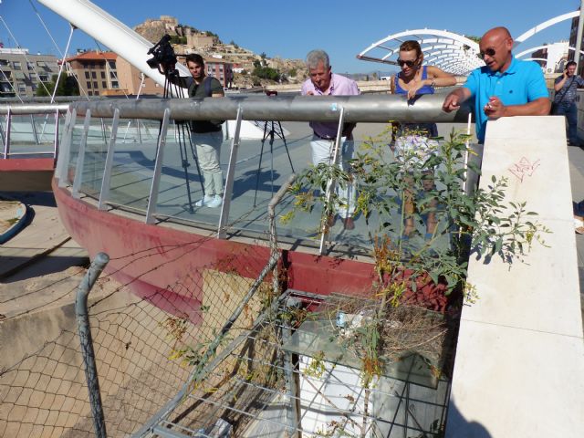 IU-V denuncia la dejadez en la Pasarela Manterola y su entorno - 3, Foto 3