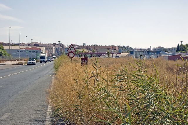PP: El Ayuntamiento de Molina de Segura desoye las reiteradas peticiones que se le instan desde Alguazas para que mantenga en condiciones óptimas de limpieza los márgenes de la Carretera Alguazas-Molina de Segura - 1, Foto 1