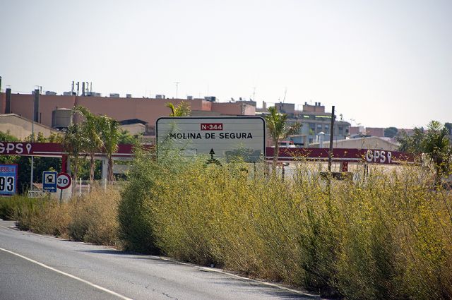 PP: El Ayuntamiento de Molina de Segura desoye las reiteradas peticiones que se le instan desde Alguazas para que mantenga en condiciones óptimas de limpieza los márgenes de la Carretera Alguazas-Molina de Segura - 3, Foto 3
