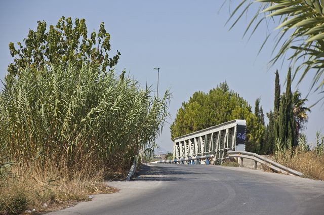 PP: El Ayuntamiento de Molina de Segura desoye las reiteradas peticiones que se le instan desde Alguazas para que mantenga en condiciones óptimas de limpieza los márgenes de la Carretera Alguazas-Molina de Segura - 4, Foto 4
