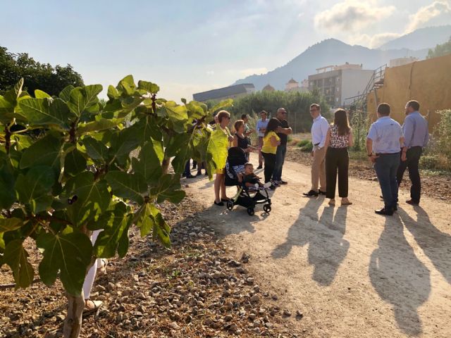 El Ayuntamiento mima los más de 2.000 árboles de 25 especies distintas de la Vía Verde - 2, Foto 2