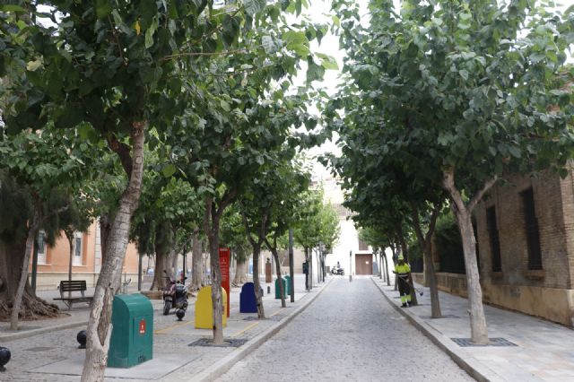 El Ayuntamiento coloca más de 300 cubrealcorques en los árboles del casco histórico para mejorar la seguridad de los peatones - 3, Foto 3