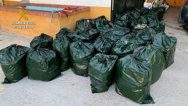 La Guardia Civil desmantela una importante organización polaca de narcotraficantes que operaba en Andalucía - 1, Foto 1