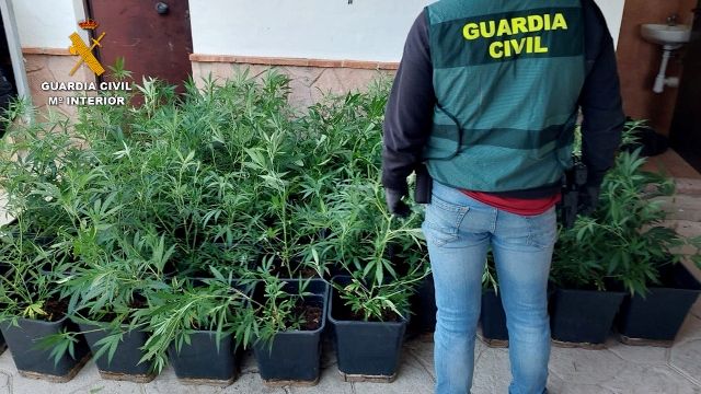 La Guardia Civil desmantela una importante organización polaca de narcotraficantes que operaba en Andalucía - 3, Foto 3