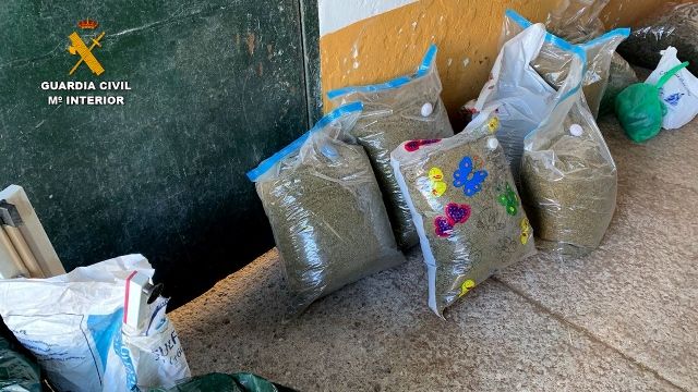 La Guardia Civil desmantela una importante organización polaca de narcotraficantes que operaba en Andalucía - 4, Foto 4