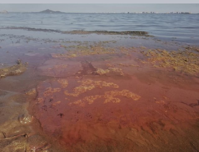 Mar Menor, problemática histórica y soluciones científicas - 1, Foto 1