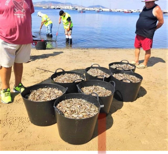 Mar Menor, problemática histórica y soluciones científicas - 2, Foto 2