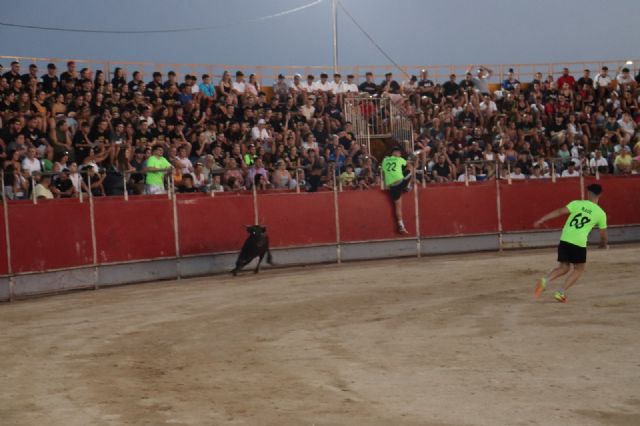 Las Torres de Cotillas disfruta de una nueva suelta de vaquillas - 4, Foto 4