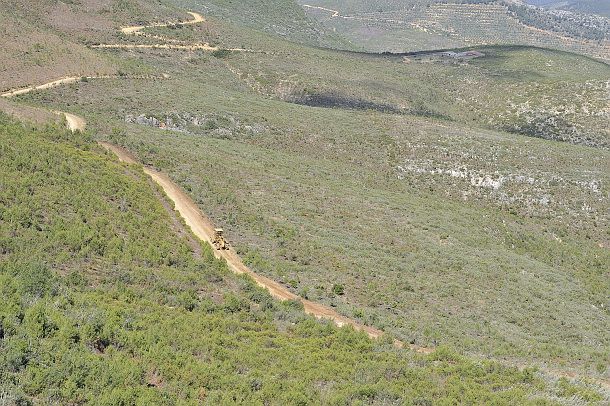 Medio Ambiente inicia la recuperación de hábitats degradados con semillas locales obtenidas mediante recolección manual - 1, Foto 1