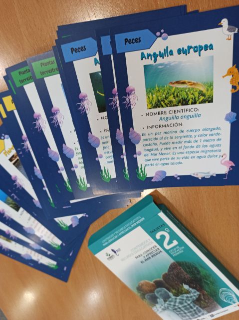 Más de 3.600 alumnos participan en las actividades del Aula del Mar Menor - 1, Foto 1