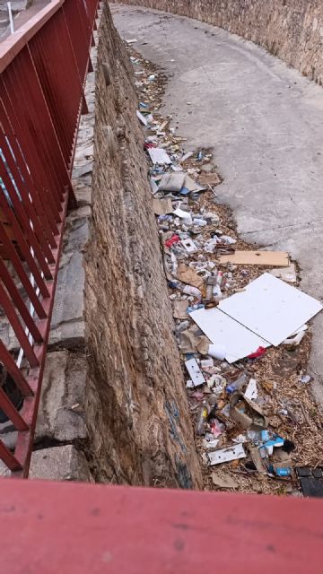 El Grupo Socialista exige al Gobierno local una solución definitiva ante el deterioro de la limpieza en La Alberca - 2, Foto 2