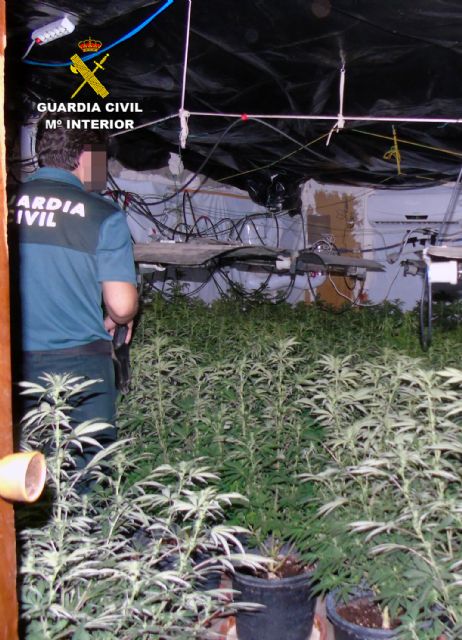 La Guardia Civil desmantela una plantación indoor de marihuana en Bullas - 1, Foto 1