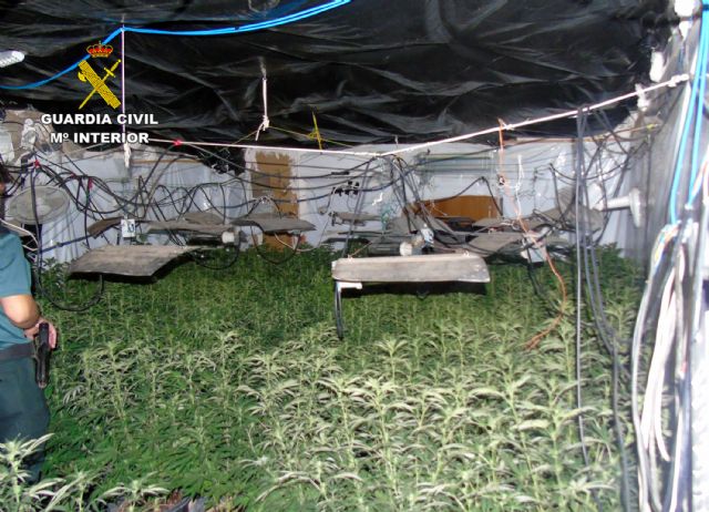 La Guardia Civil desmantela una plantación indoor de marihuana en Bullas - 2, Foto 2
