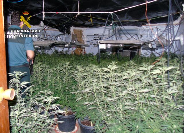 La Guardia Civil desmantela una plantación indoor de marihuana en Bullas - 3, Foto 3