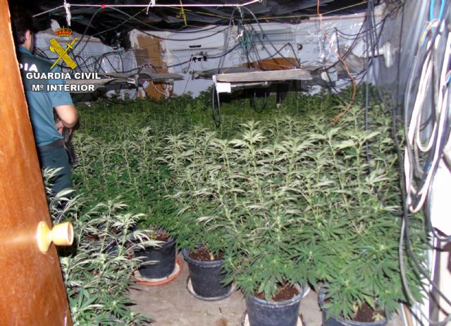 La Guardia Civil desmantela una plantación indoor de marihuana en Bullas - 4, Foto 4