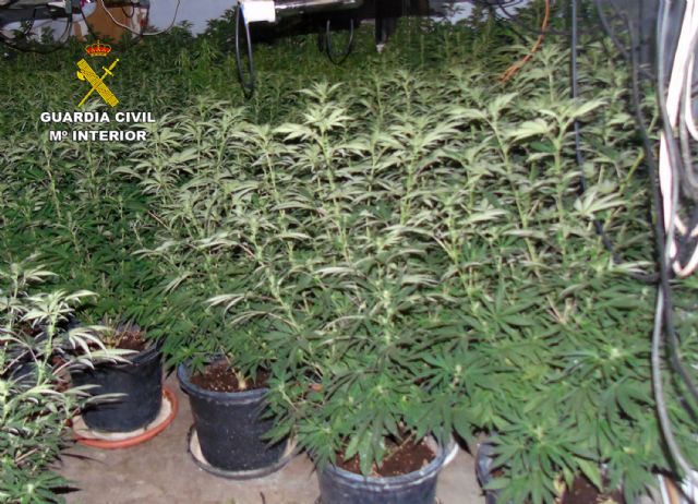 La Guardia Civil desmantela una plantación indoor de marihuana en Bullas - 5, Foto 5