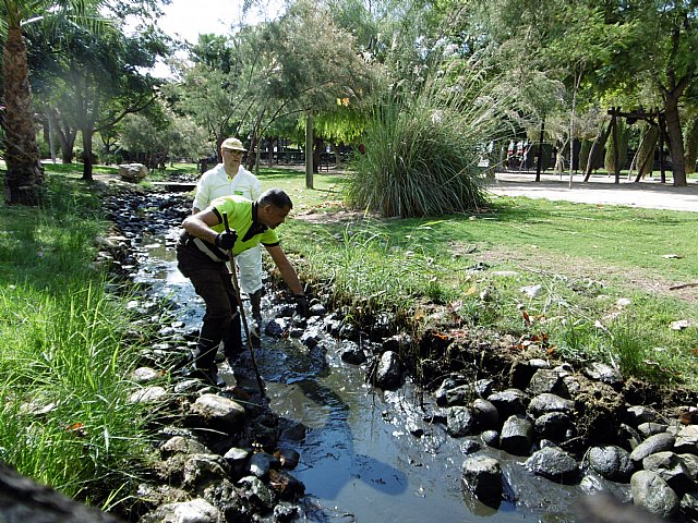 El Ayuntamiento realiza una limpieza intensiva de los lagos del municipio - 1, Foto 1